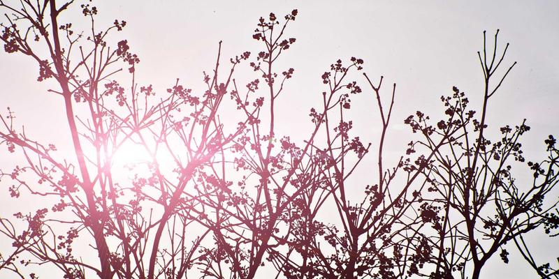 Masaüstü yazılımından web tabanlı sisteme migration süreci