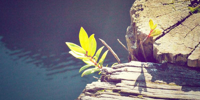 Bulut adaptasyonu ve fiziksel sunucu bağımlılığından kurtulma süreci